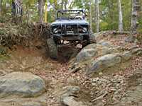 tellico1005-42.jpg